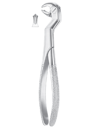 ROUTURIER (Fig. 212) ( 22 ï¿½ L ) lower molars and wisdom left