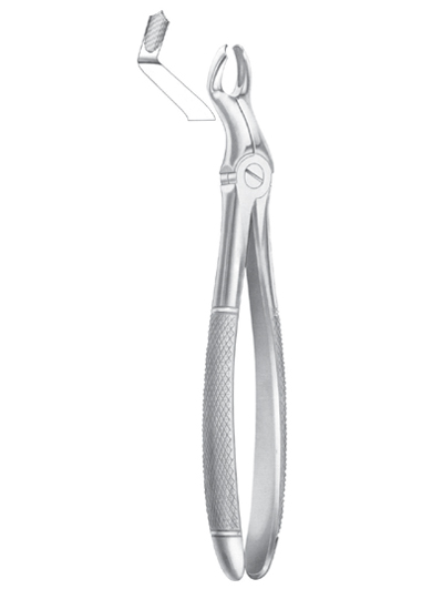 Fig. 67 ï¿½R upper third molars right