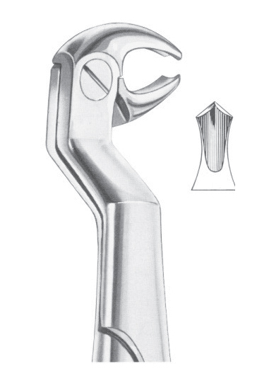ROUTURIER (Fig. 213) ( 22 ï¿½ R) lower molars and wisdom right