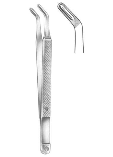 ALBRECHT 16 cm, 61/4ï¿½
