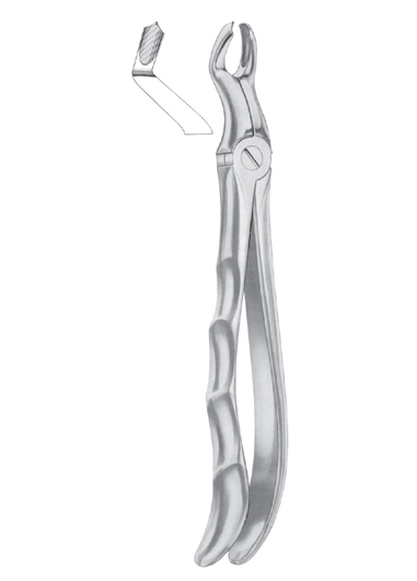 Fig. 67 ï¿½ R upper third molars right