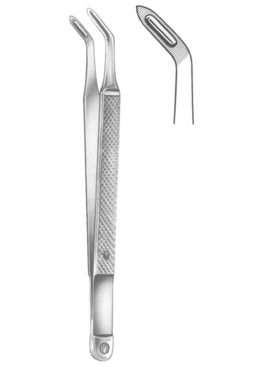 ALBRECHT 16 cm, 61/4ï¿½