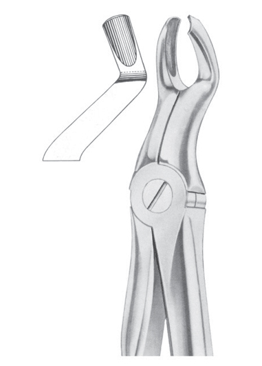 Fig. 67 ï¿½ L upper third molars left