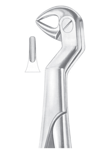 ROUTURIER (Fig. 214) ( 22 ï¿½ L) lower molars and wisdom left