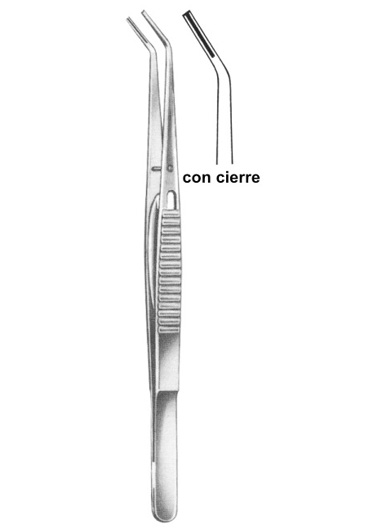 15.5 cm, 61/8ï¿½