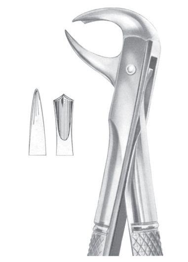 Fig. 99 ï¿½ lower molars