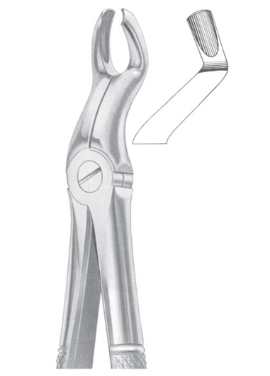 Fig. 67 ï¿½L upper third molars left