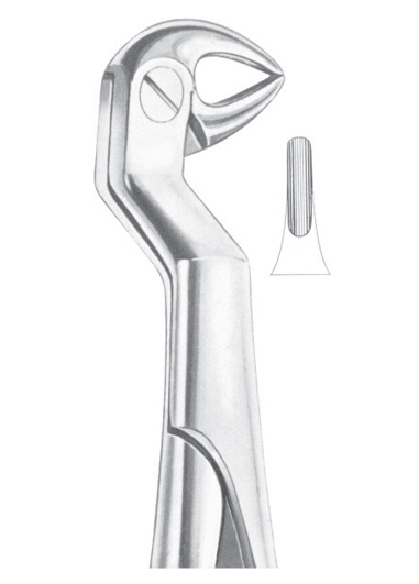 ROUTURIER (Fig. 215) ( 33 ï¿½ R) lower molars and wisdom right