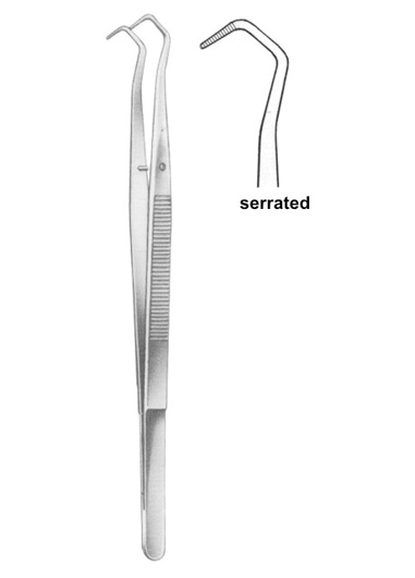 COLLEGE 14.5 cm, 53/4ï¿½