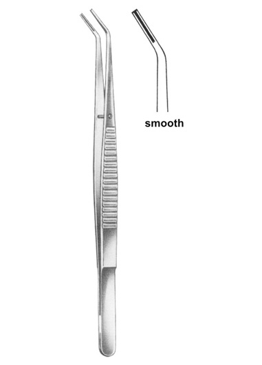 15,5 cm, 61/8ï¿½